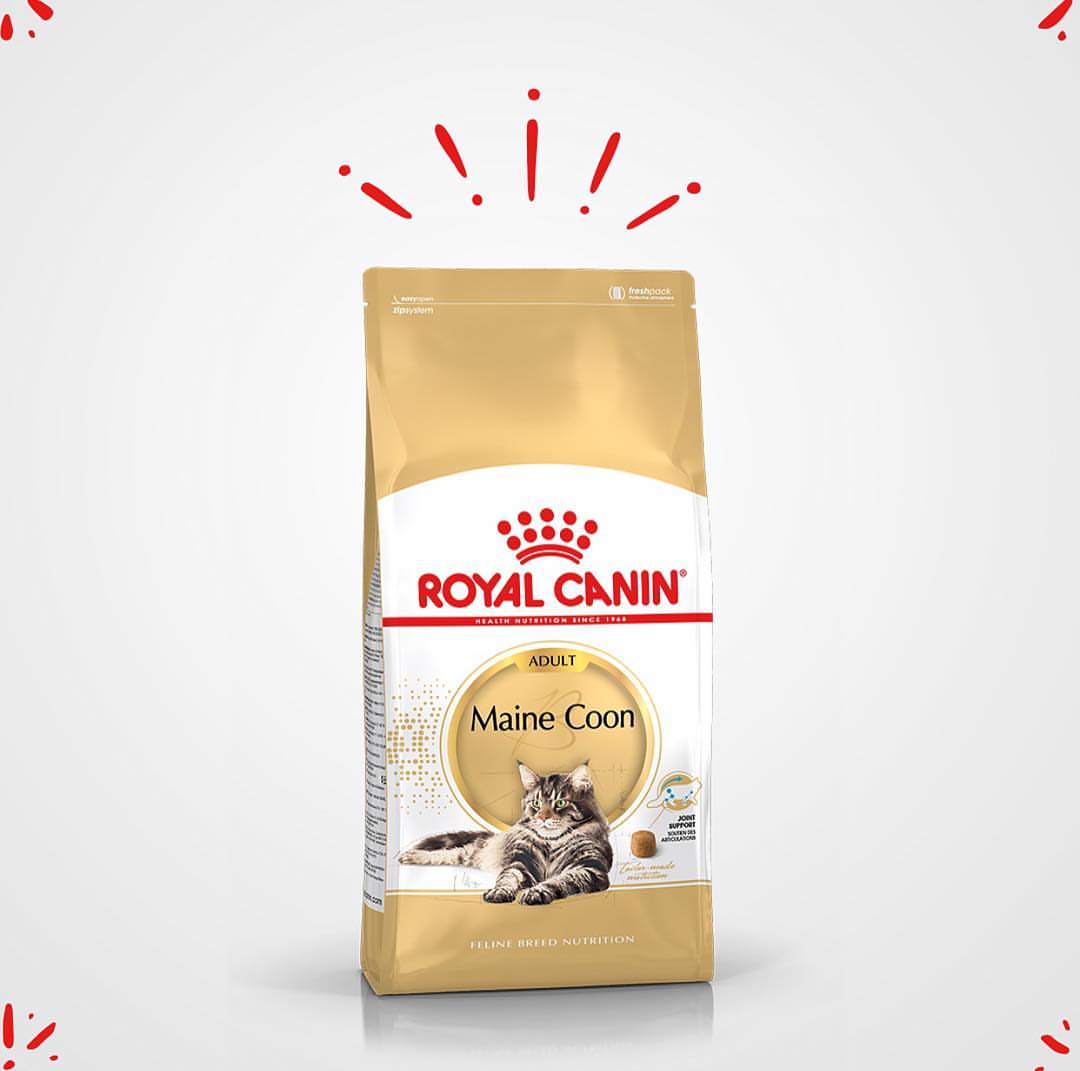 Royal Canin